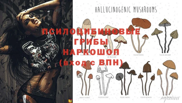 прущая мука Лабытнанги